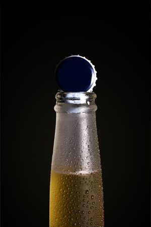 Bottle of tasty cold beer