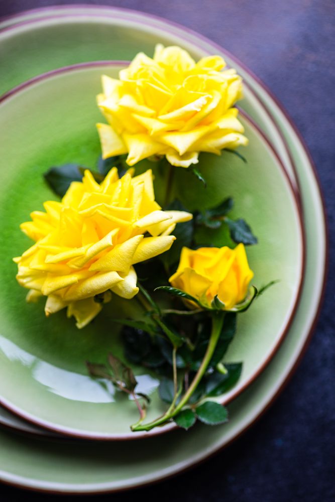 Green table setting with yellow roses
