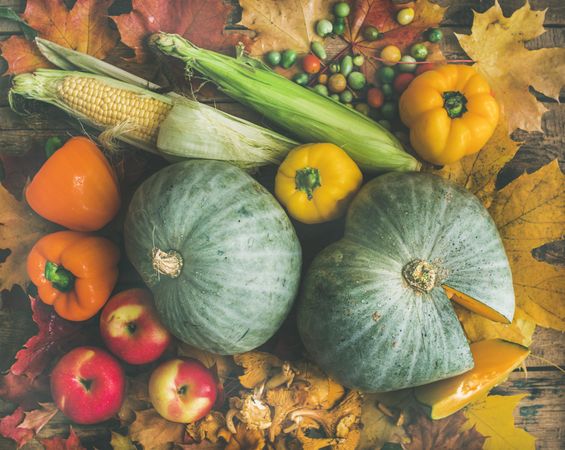 Autumn produce of squash, corn, apples and peppers on fall leaves