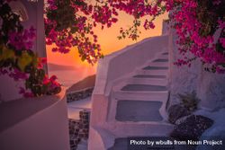 Sunset over the sea from a idyllic lane with bougainvillea flower vine 41DWL5