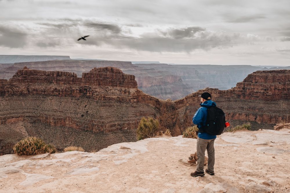 Calm male looking at pictorial landscape