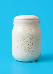 Sourdough starter in a jar, isolated on a blue background