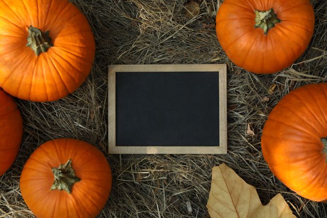 Autumn concept with pumpkins and chalkboard outdoor