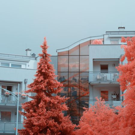 Infrared trees near suburban houses