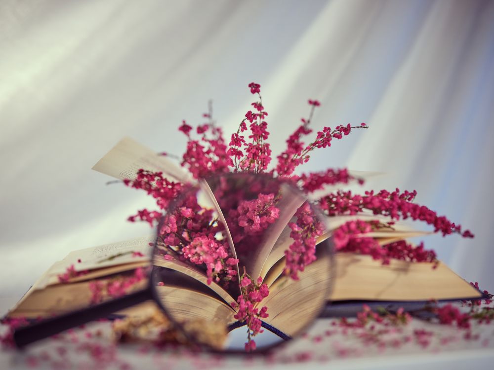 Through magnifier of flowers on book
