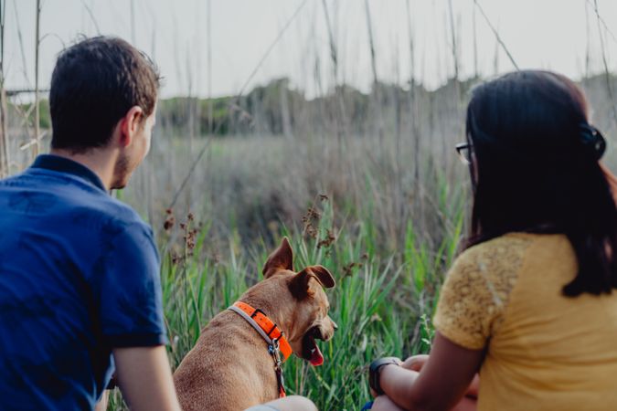 Cheerful adult couple playing with dog at countryside