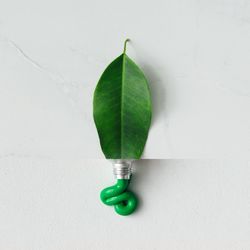 Collage made out of green leaf and paint tube
