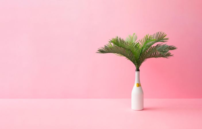 Champagne bottle with tropical green palm leaves on pastel pink background