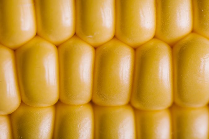 Seeds of ripe fresh corn