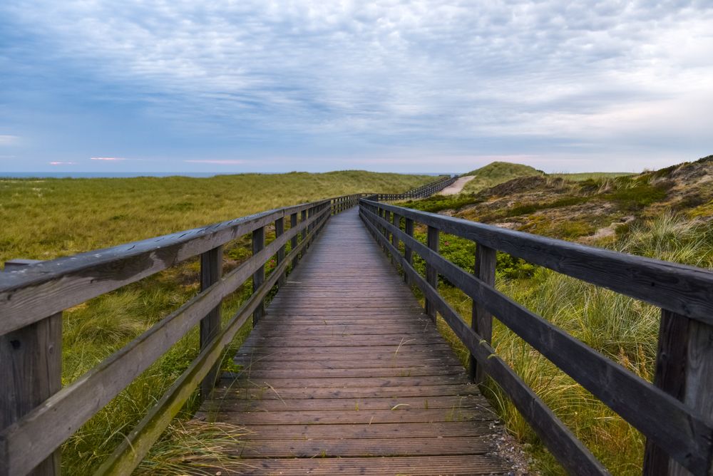 Pedestrian footpath after rain on Sylt island, Germany