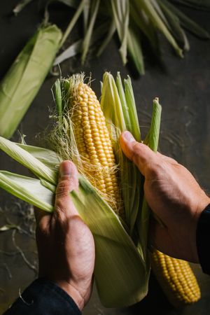 Crop person peeling corn over table