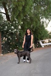 Woman posing in an open street   in front of trees with her dog
