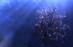 Tree with sparkles on branches