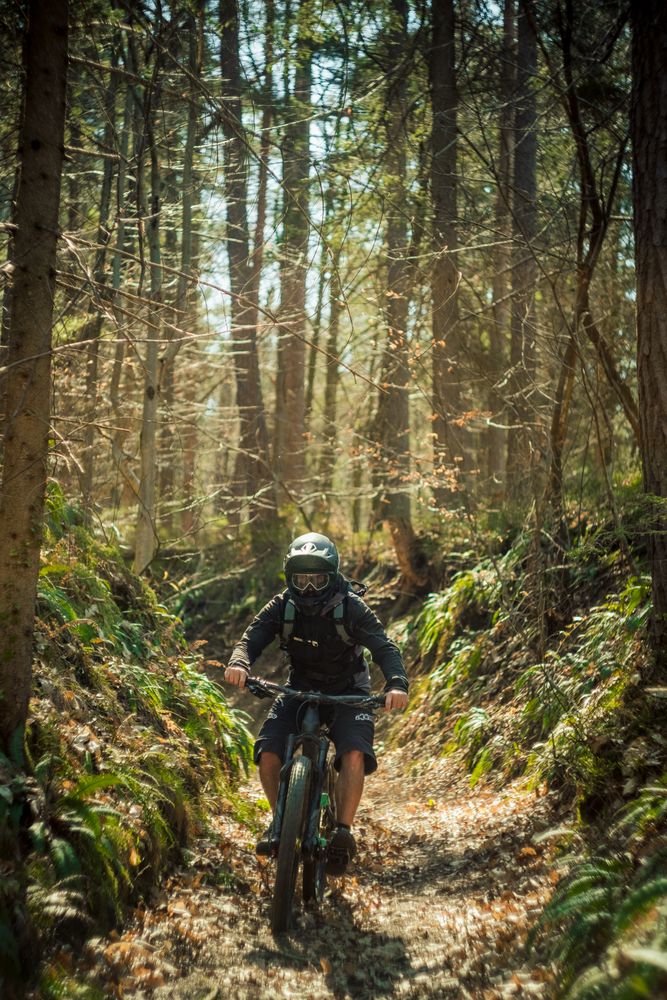 Man riding bike in forest