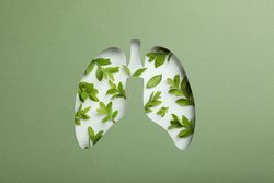 Lung shape cut out of green paper revealing leaves underneath