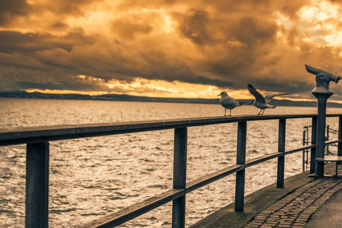 Sunset saw from Bodensee lake boardwalk