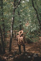Unrecognizable hiker adjusting hat in green forest