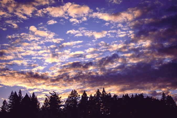 Clouds above forest