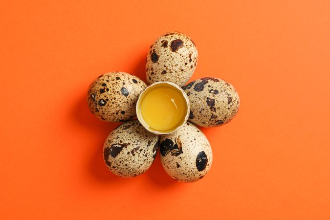 Flat lay composition with quail eggs on color background, space for text