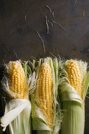 Phases of fresh corn peeling