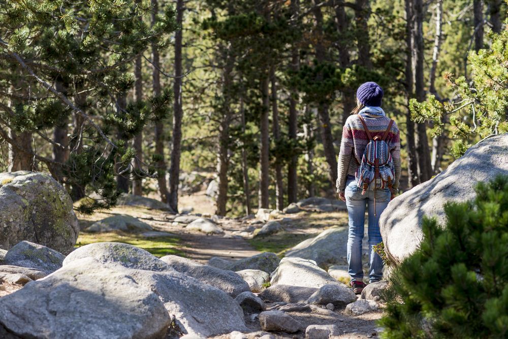 Female standing in rocky forest on sunny day with camera enjoying the view