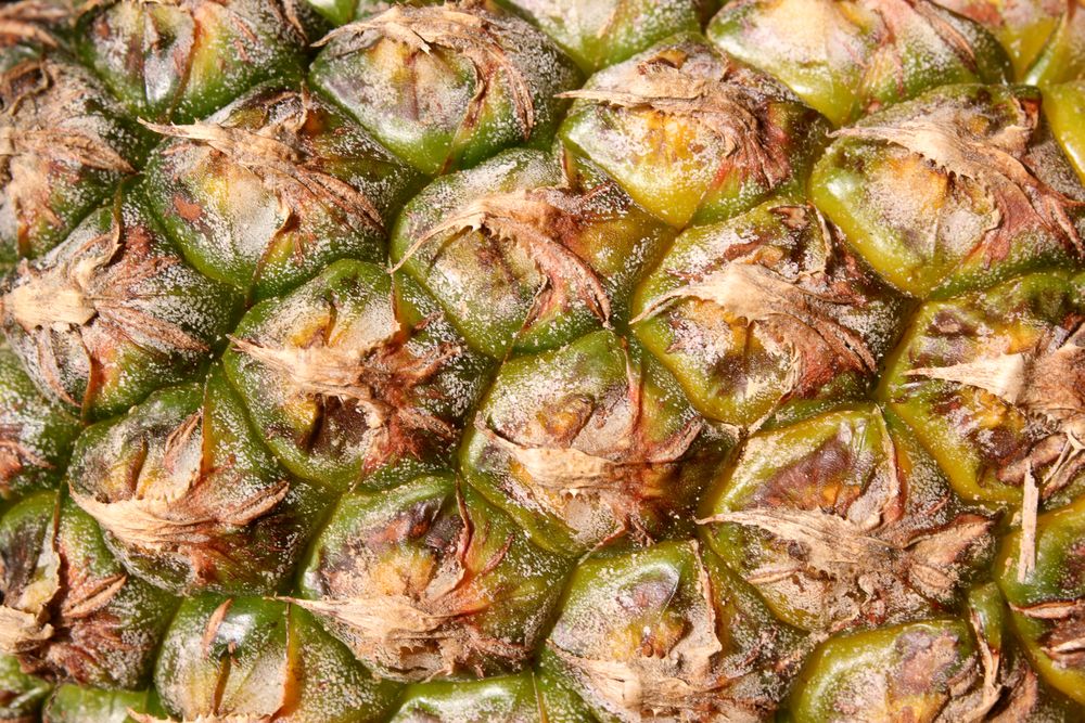 Macro photo of a pineapple.