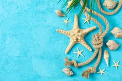 Starfish, seashells, sea rope and palm leaf on two tone background, space for text and top view. Summer vacation backdrop