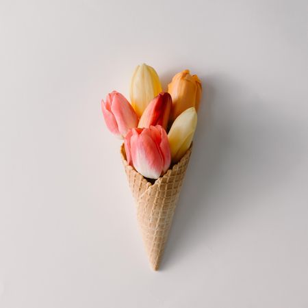 Ice cream cone with colorful tulips on light background