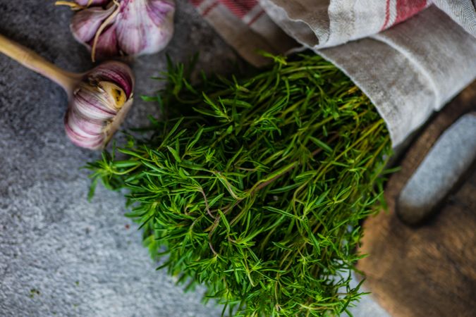 Fresh herb & garlic wrapped in kitchen towel on counter