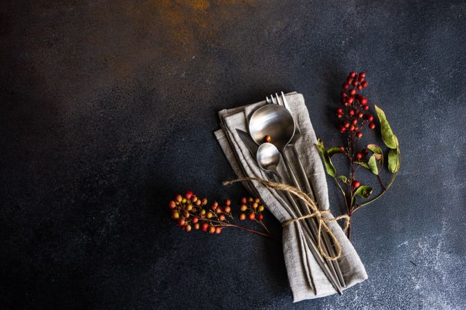 Autumnal napkin and silverware with wild red berries with copy space