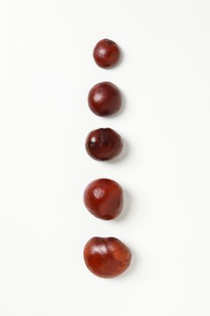 Fresh and ripe chestnuts, top view, Autumn chestnuts