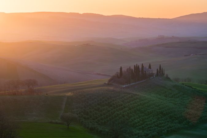 Peaceful green field at sunset