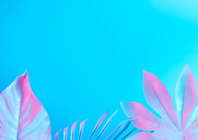 Tropical and palm leaves in vibrant bold blue and pink gradient holographic neon colors