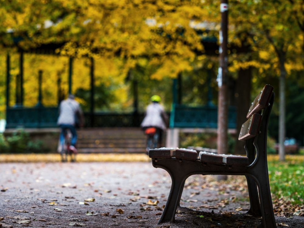 Autumn colors in the city of Strasbourg. Yellow, red, orange
