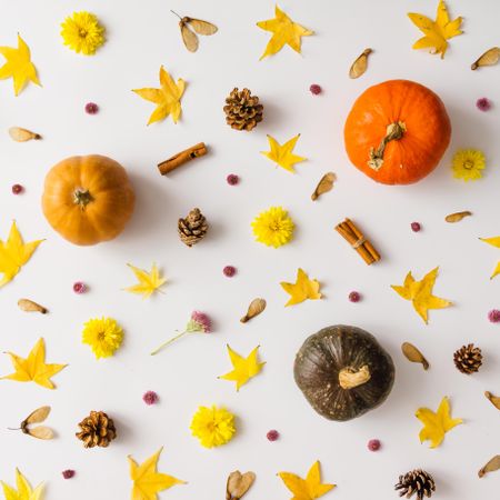 Colorful autumn pattern made of pumpkins, leaves and flowers