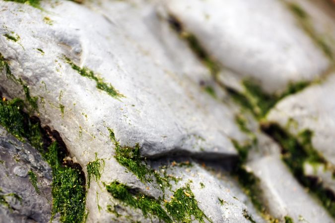 Stone texture with cracks