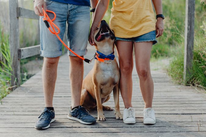 Happy adult couple playing with dog at countryside