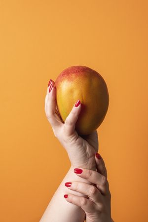 Hands holding a ripe mango