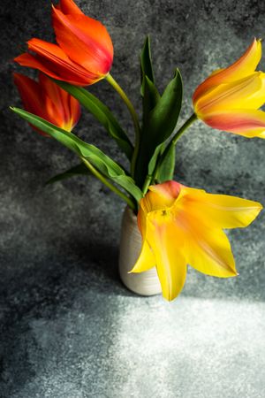 Orange and yellow tulip flowers in vase on grey table
