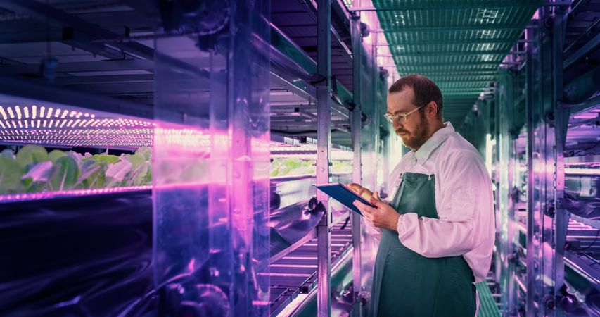 Agricultural Scientist Standing in a Corridor in a Vertical Farm Facility Next to Rack with Freshly Grown Plants. Hydroponics Technician Using Tablet Computer, Studying and Cultivating Crops