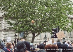 London, England, United Kingdom - June 6th, 2020: Group of protesters below a tree with Trump effigy bxALB0