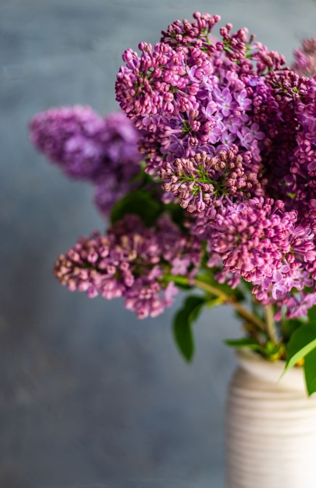 Minimalistic home interior decor with lilac flowers