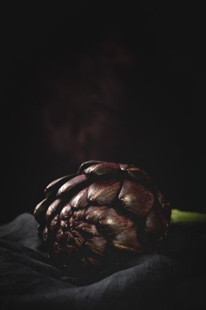 Fresh raw purple artichokes on dark background.