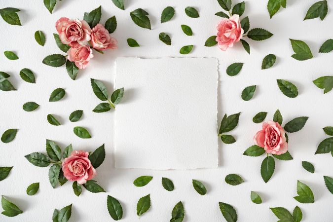 Pink flowers and leaves on light  background with paper card