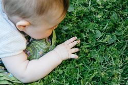 Baby on cloth diaper on lawn exploring grass