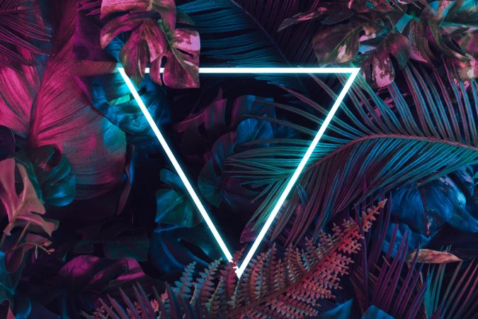 Creative fluorescent color layout made of tropical leaves with neon light triangle