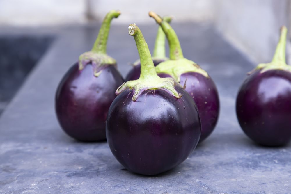 Fresh round eggplant on a grey concrete floor