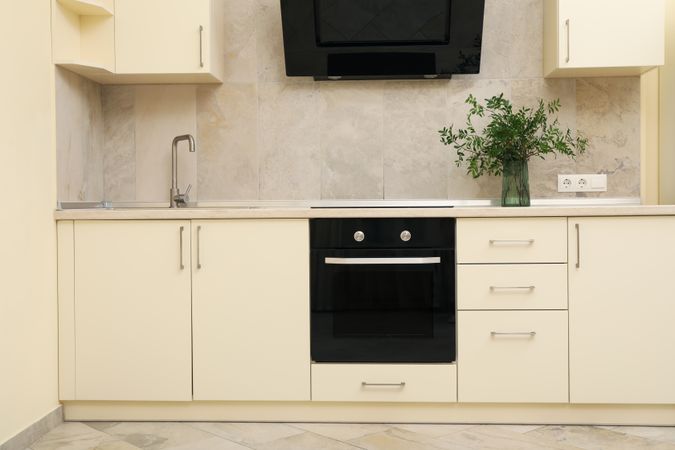 Interior of modern kitchen room with plant