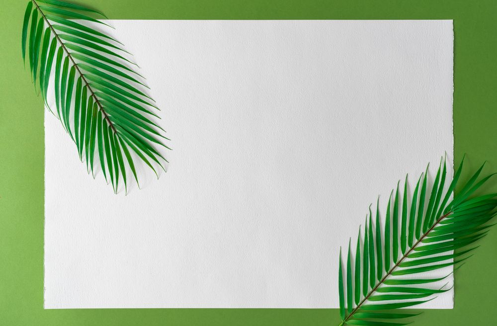 Green palm leaves on green background with light paper card - Free Photo  (0La6P5) - Noun Project