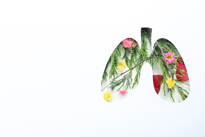 Lung shape cut out of light paper with foliage and colorful flowers underneath with copy space